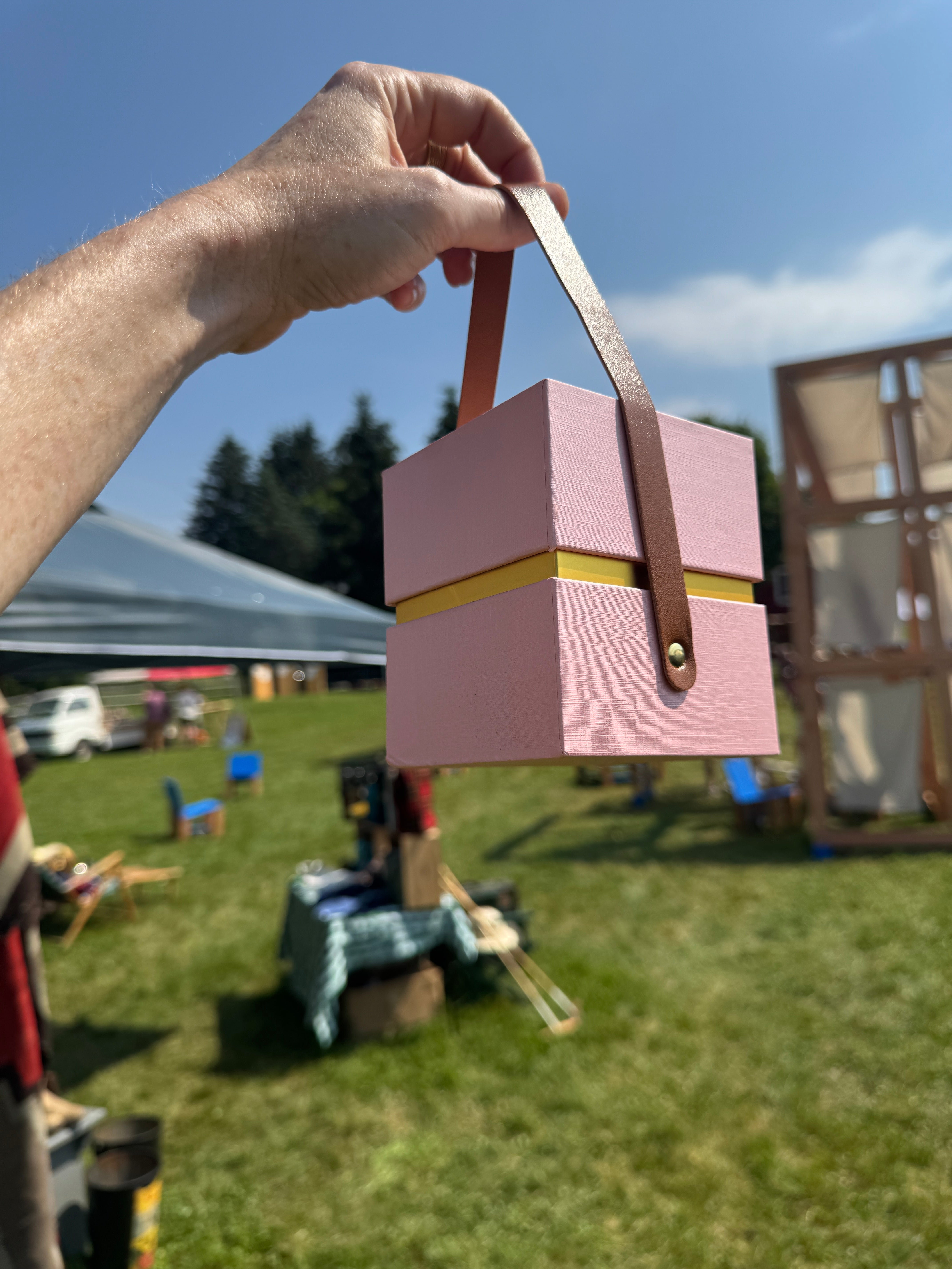 Person holding a pink birdhouse with a gold accent against a blurred outdoor background