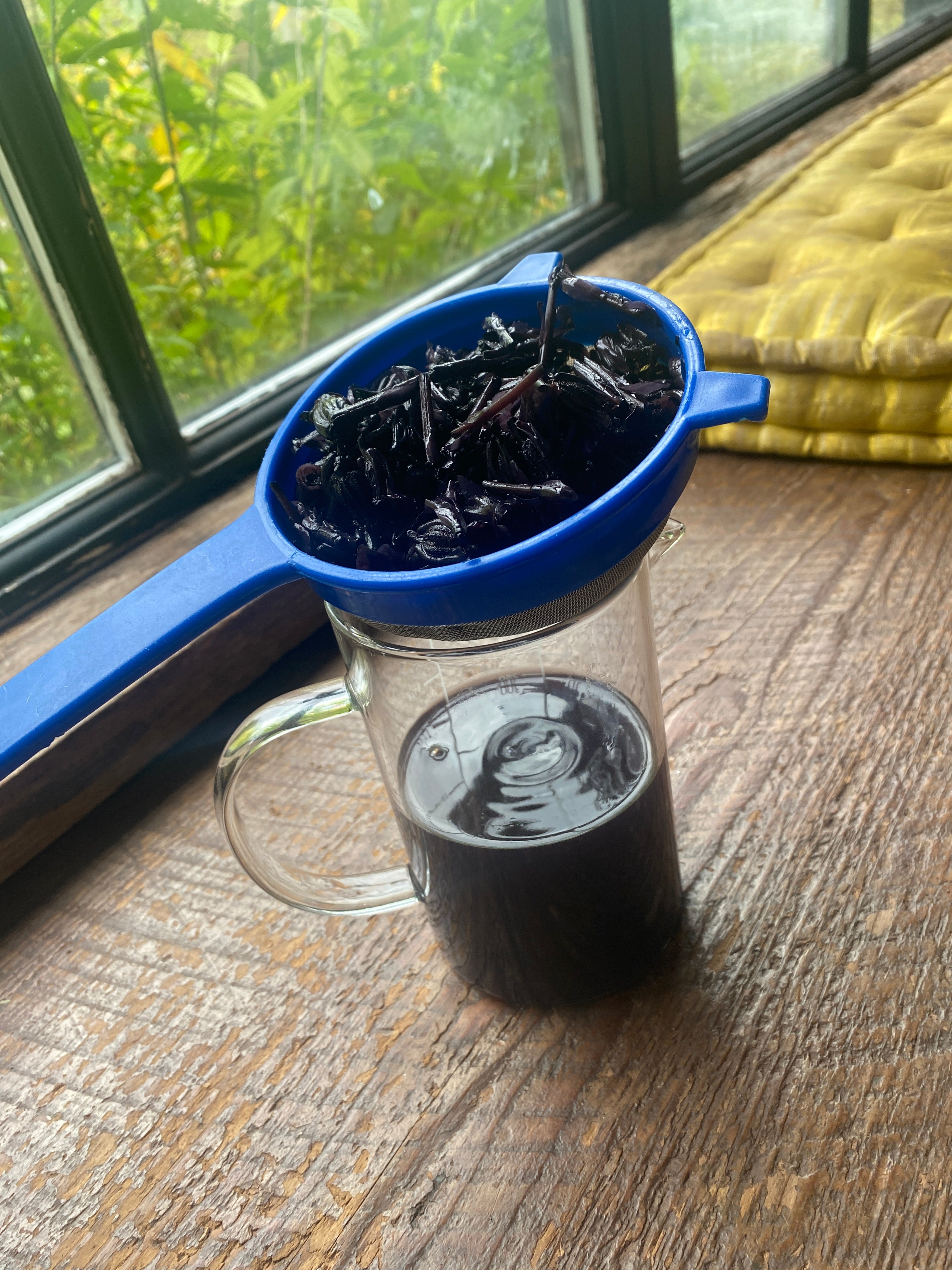 Mushroom Tincture