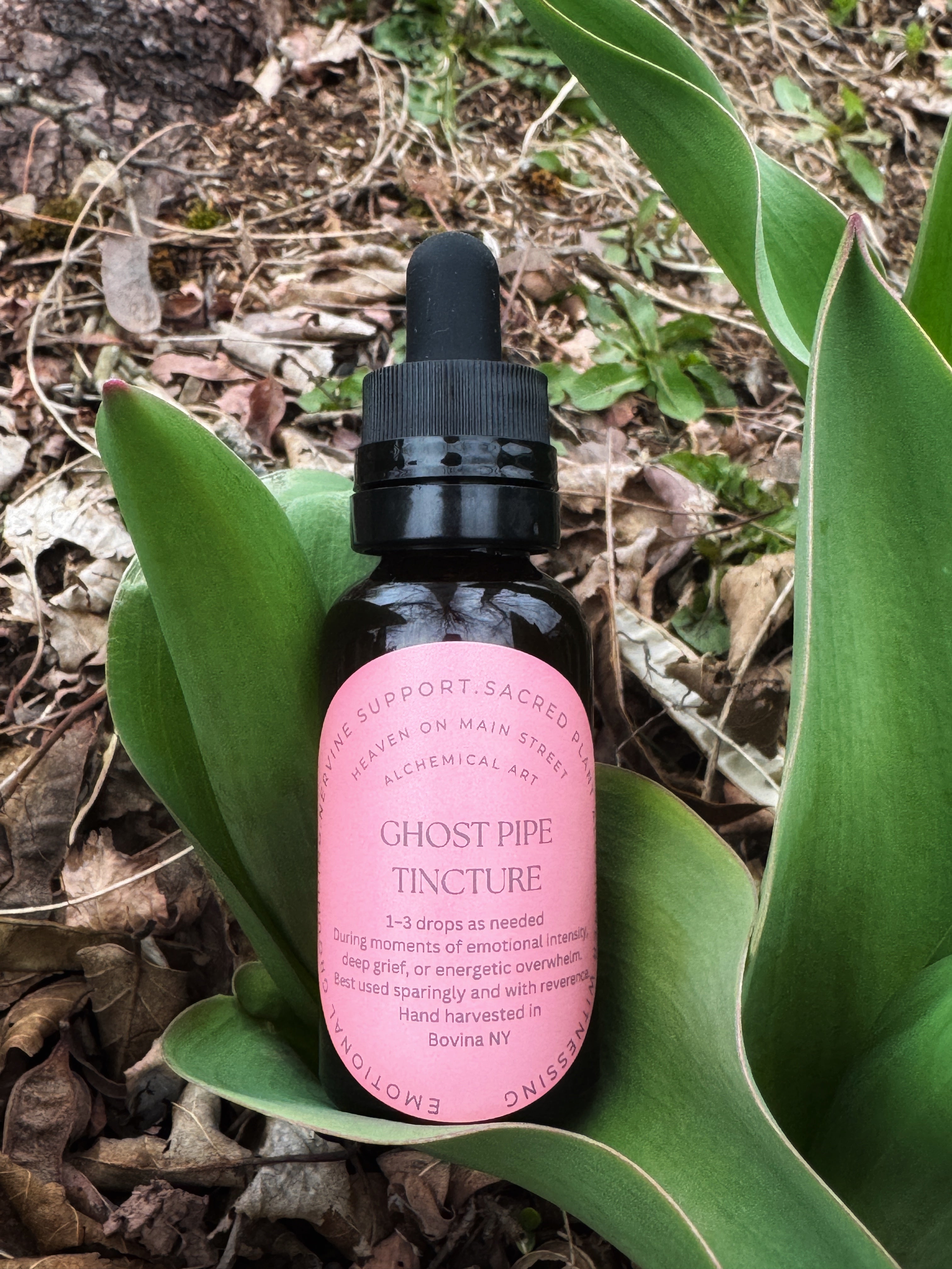 Mushroom Tincture