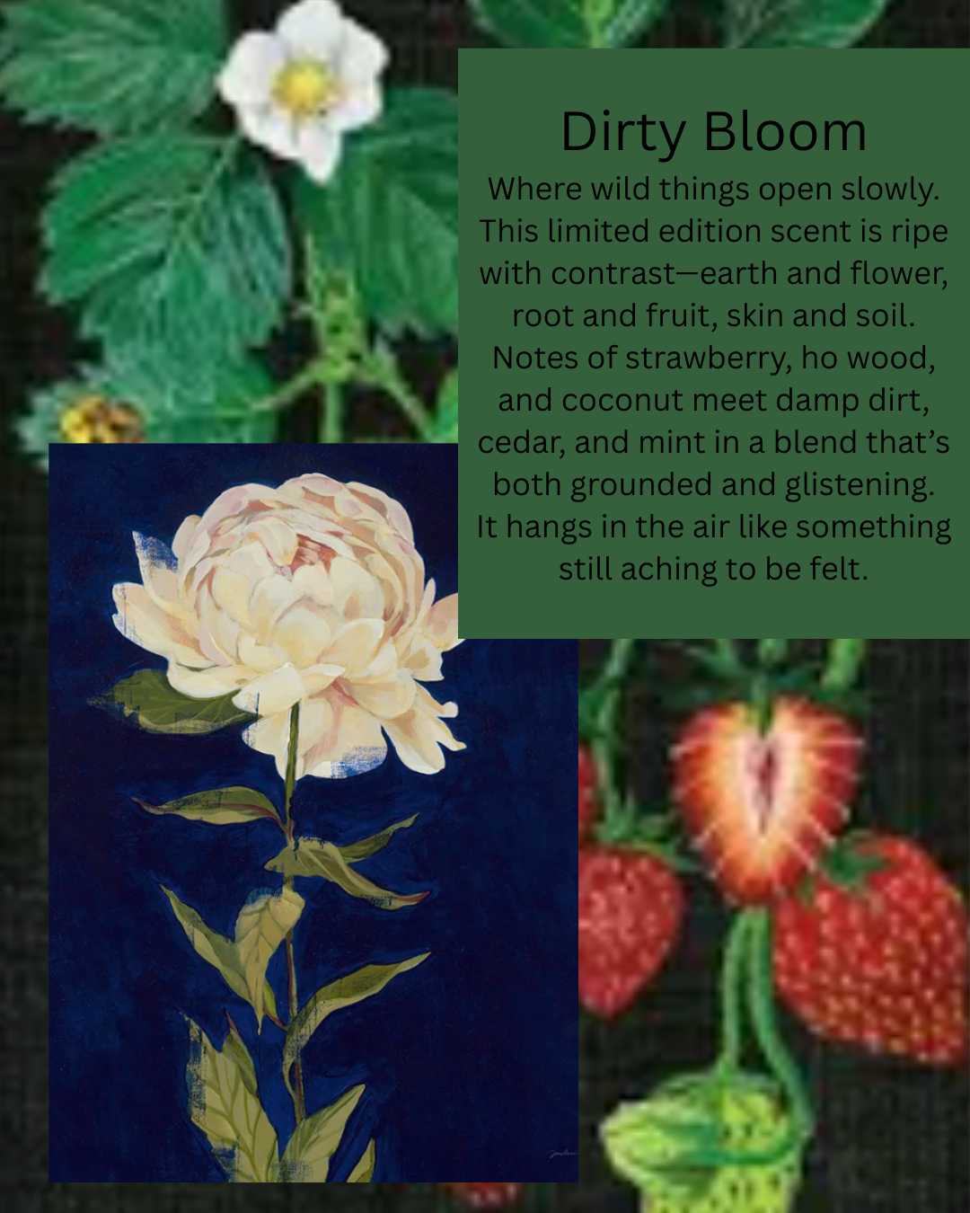 Dirty Bloom