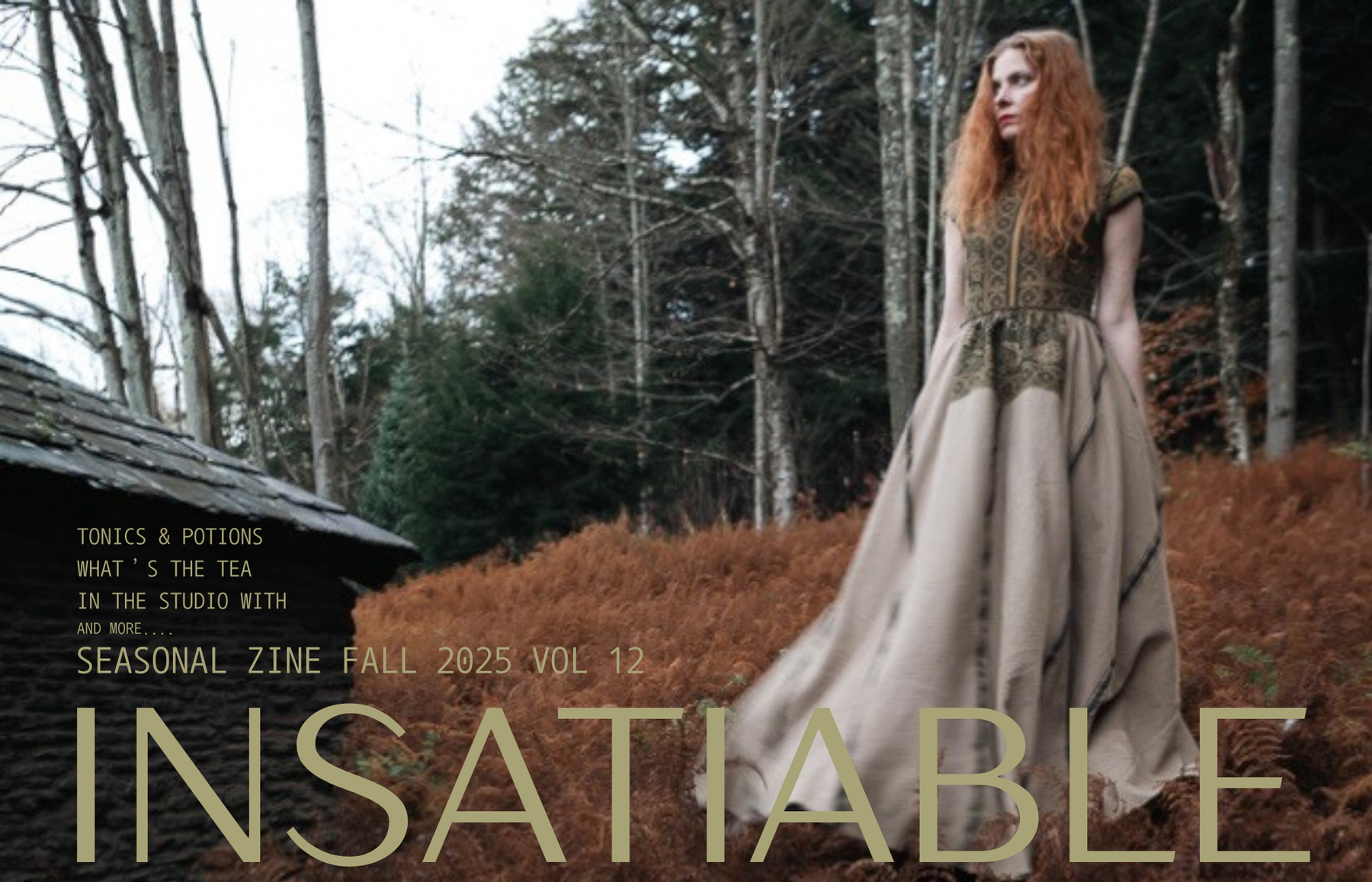 Fall Zine 2025
