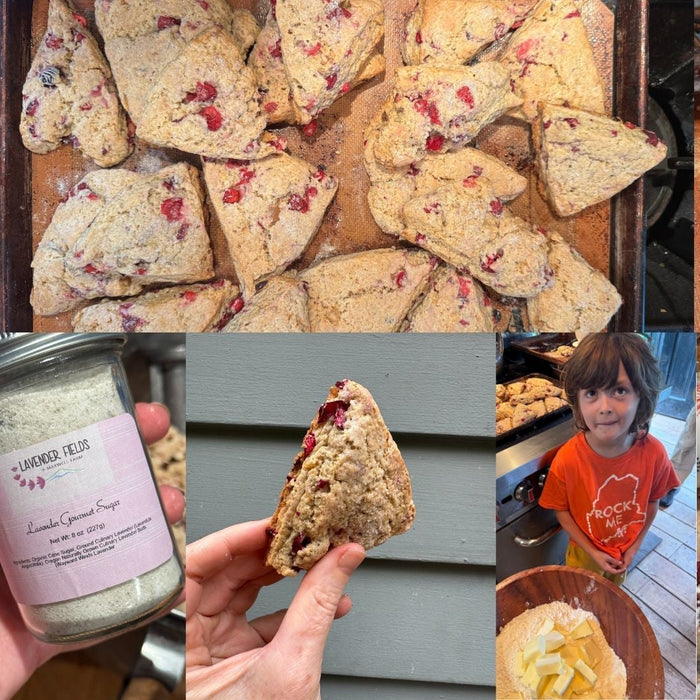 Cranberry Ginger Scones